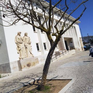 Traficante de Almeirim em prisão preventiva