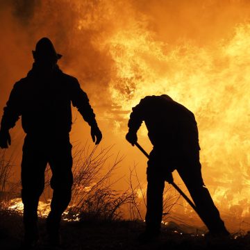 “Há fogo”: Incêndio em Benfica do Ribatejo