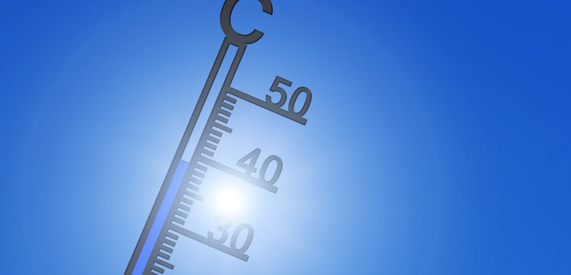 Próximos dias com temperaturas máximas perto dos 40 graus no concelho de Almeirim