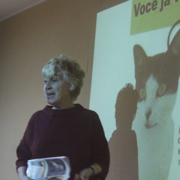 Doações de bens para animais afetadas devido à COVID