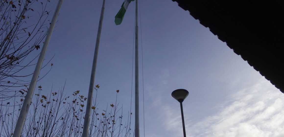 Escola de Almeirim desenvolve campanha “Almeirim, Terra Sustentável”