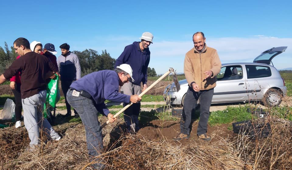 Agricultor dá batata doce a instituições