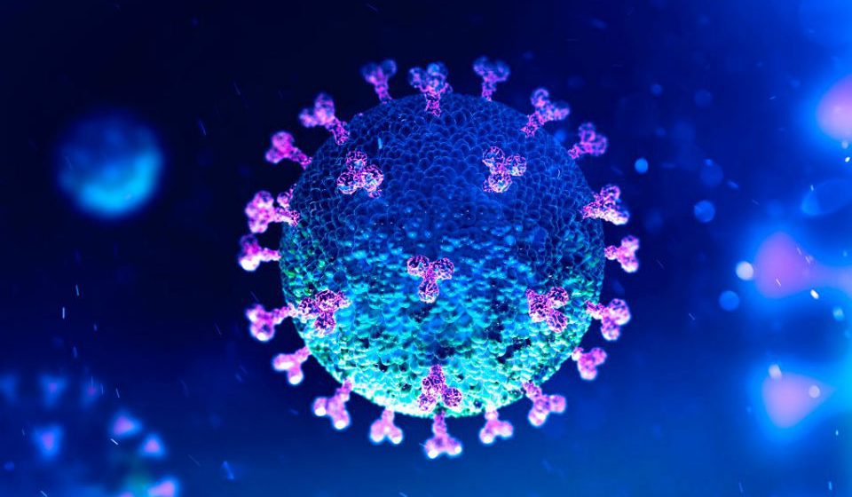 Coronavírus: Número de infetados em Almeirim volta a aumentar