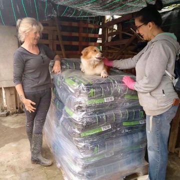 Donativo de 440 Kg de ração