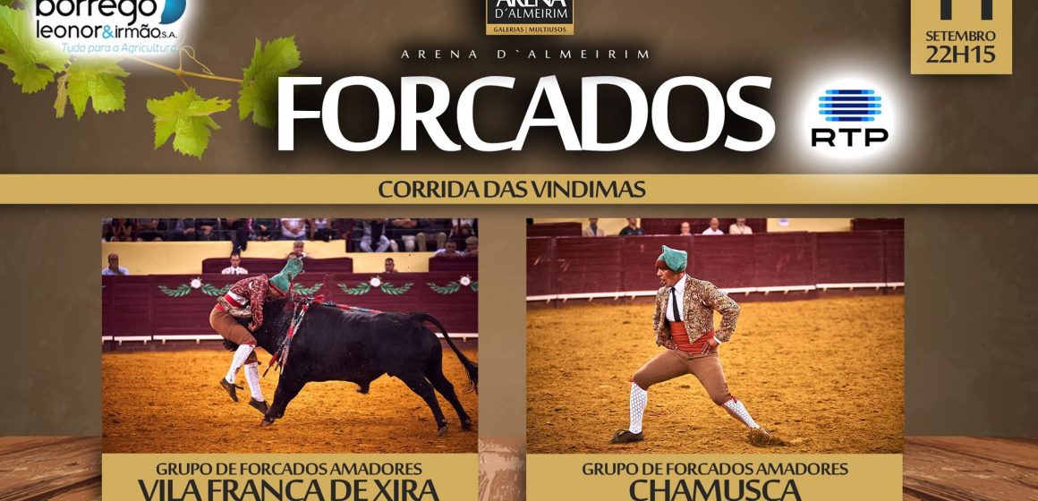 Corrida das Vindimas: Forcados definidos