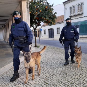 GNR reforça policiamento nas zonas de comércio até ao final de dezembro