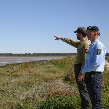 Dia Mundial da Conservação da Natureza