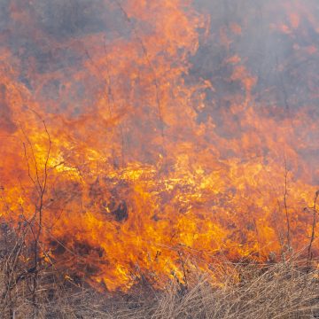 Câmara Municipal de Almeirim suspende queimas e queimadas