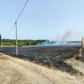 Incêndio em Paço dos Negros