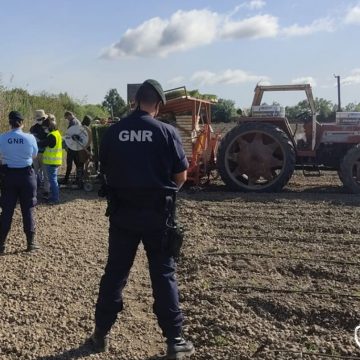GNR realiza operação Produção Agrícola em Santarém