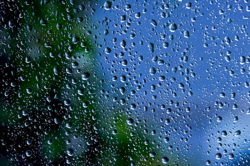 Mau tempo: Almeirim sob aviso amarelo devido a chuva e vento forte