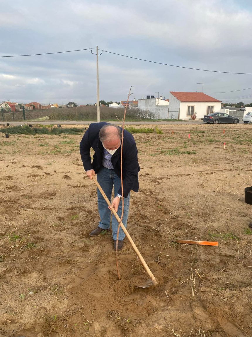 Câmara Municipal de Almeirim planta 100 árvores