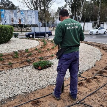 Junta de Almeirim planta 1200 flores