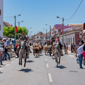 Ancestral Entrada de Toiros em Quinta-feira de Ascensão realiza-se amanhã na Chamusca