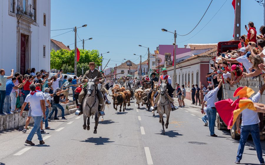 Ascensão é na Chamusca!  Uma tradição bem viva na Vila da Chamusca…