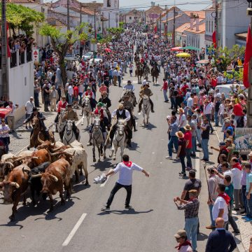 É hoje: Toiros nas ruas da Chamusca