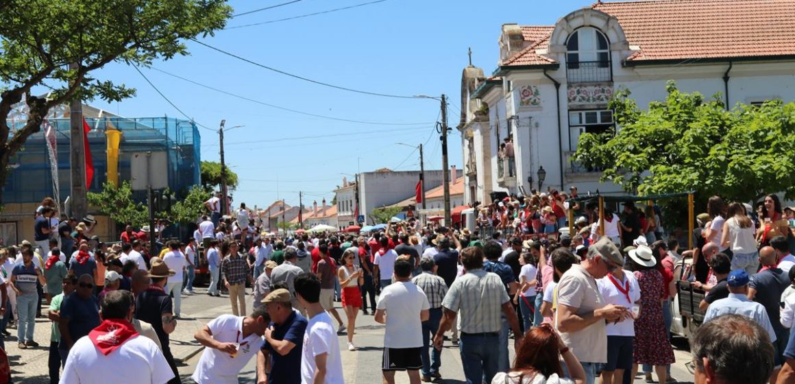 Milhares de pessoas assistem à entrada de toiros na Chamusca