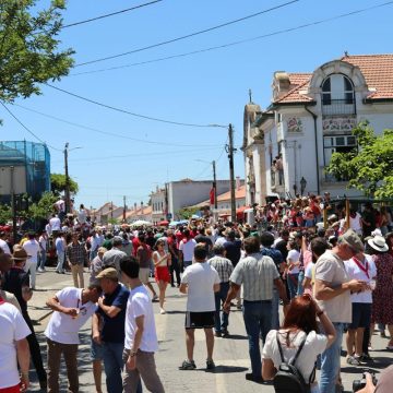 Milhares de pessoas assistem à entrada de toiros na Chamusca