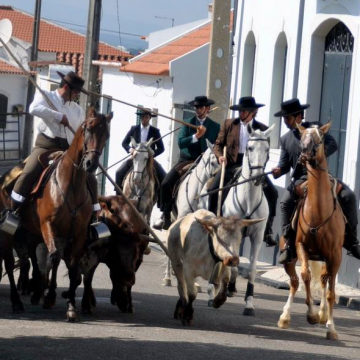 Festival de Folclore está de regresso a Vale de Cavalos com concertos, festa brava, cultura e tradição, artesanato, e comida tradicional