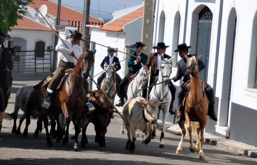 Festival de Folclore está de regresso a Vale de Cavalos com concertos, festa brava, cultura e tradição, artesanato, e comida tradicional