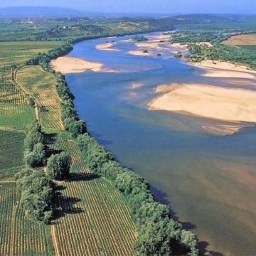 PAN pede que se averigue presença de “químicos eternos” no Tejo