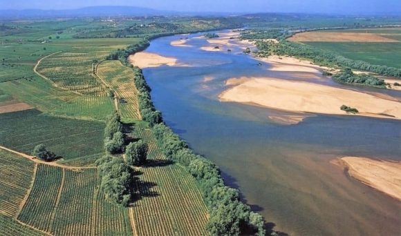 PAN pede que se averigue presença de “químicos eternos” no Tejo