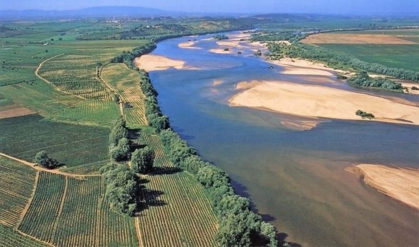 WWF lança “Guia de Boas Práticas Agrícolas para a Lezíria do Tejo”