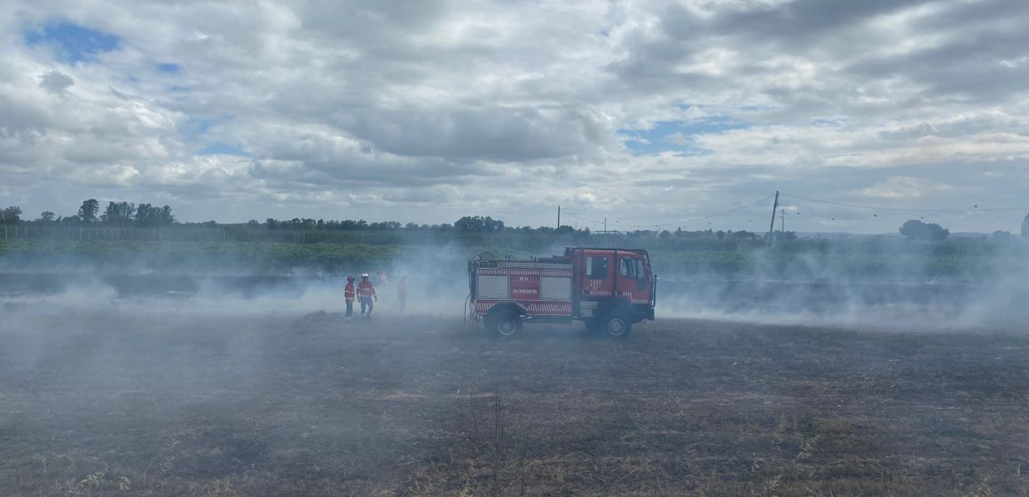 Queimada não autorizada leva a mobilização dos Bombeiros na Tapada