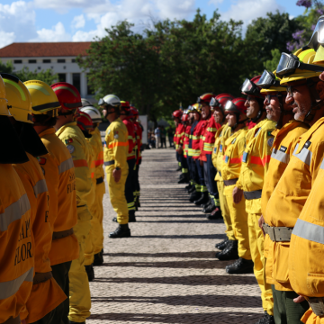 804 operacionais prontos para combater fogos rurais no distrito de Santarém