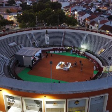 Gala 2022: Participe na escolha dos finalistas