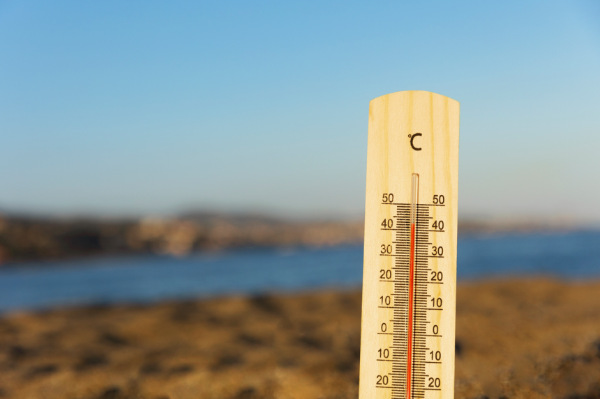 Almeirim sob aviso para vermelho devido ao calor extremo e perigo muito elevado de incêndio