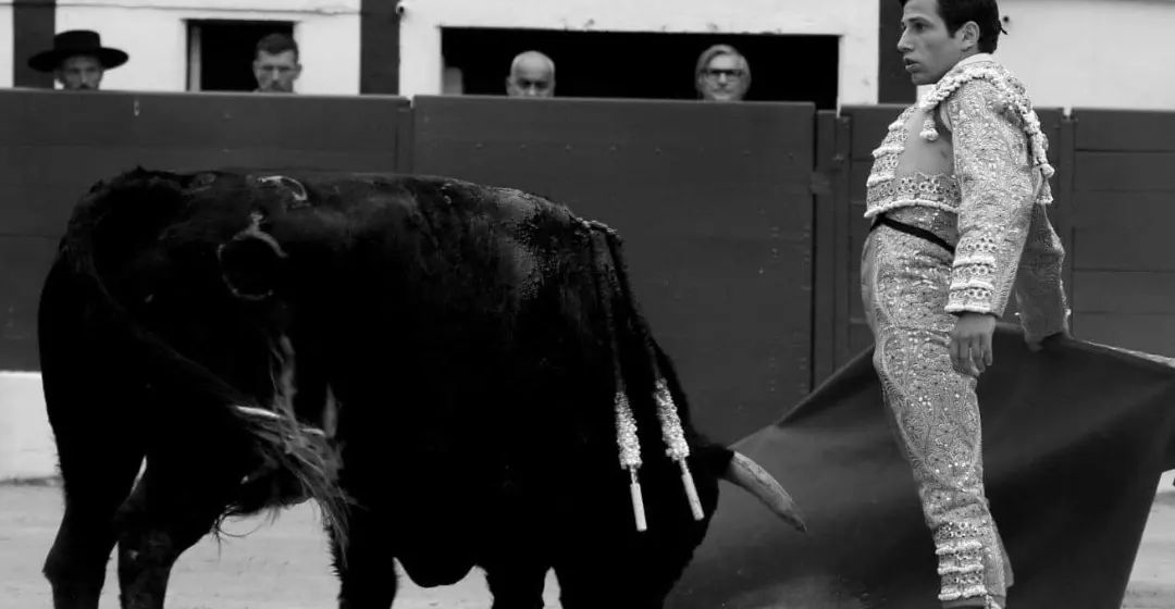 Diogo Peseiro no concurso de novilhadas noturnas na Praça de Las Ventas, Madrid