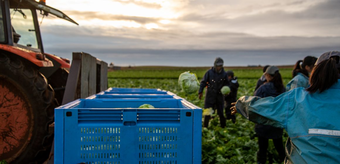 Ministério da Agricultura apoia agricultores com 24,3 milhões de euros