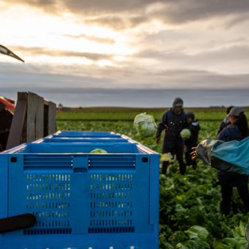 Ministério da Agricultura apoia agricultores com 24,3 milhões de euros