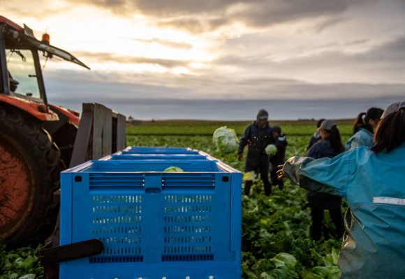 Agricultura a mudar