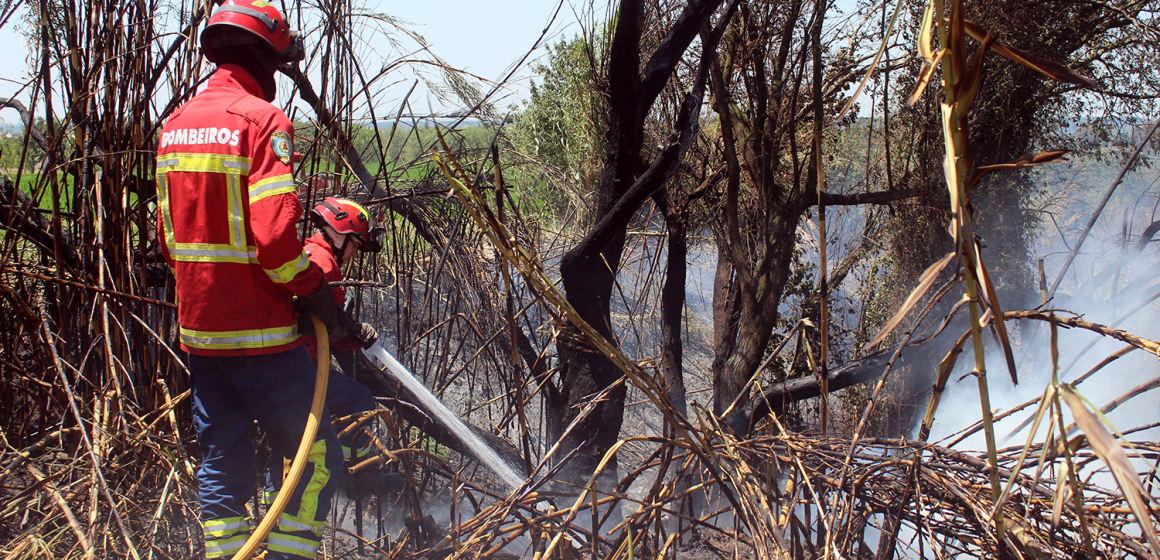 Fumo do incêndio de Ourém faz-se sentir com intensidade em Almeirim