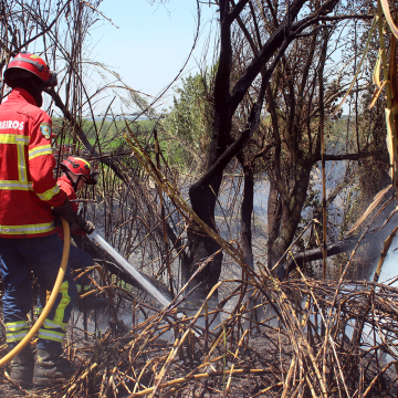 Fumo do incêndio de Ourém faz-se sentir com intensidade em Almeirim