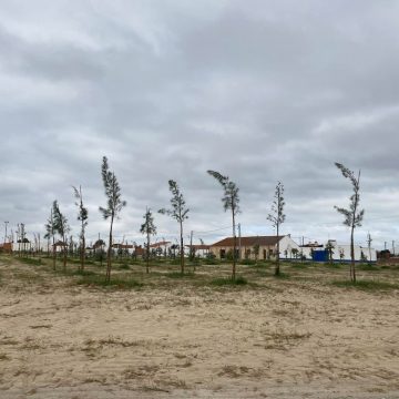 Câmara avança para construção do Parque Urbano de Fazendas de Almeirim