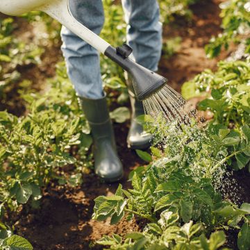 CNEMA recebe primeiro Fórum Agricultura Sustentável