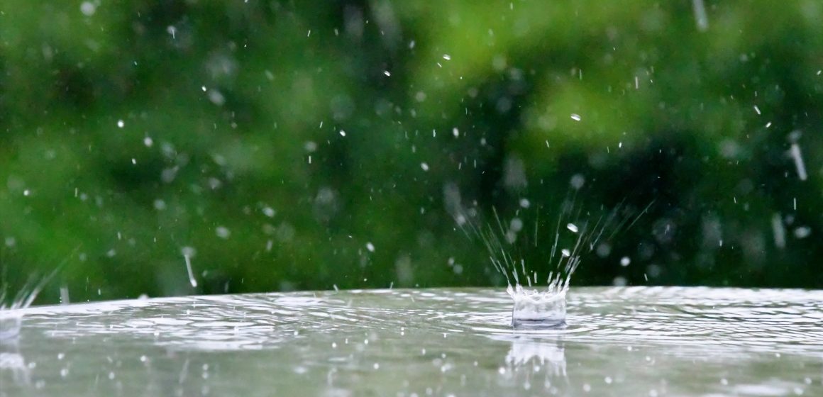 Temperaturas baixam e chuva está de regresso na próxima semana a Almeirim