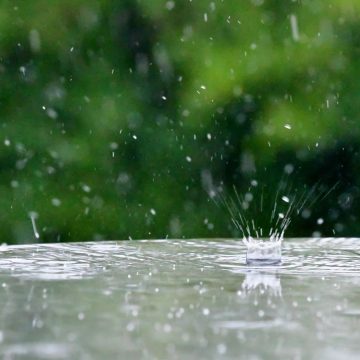 Depois dos calções e t-shirt … vai ser preciso chapéu de chuva