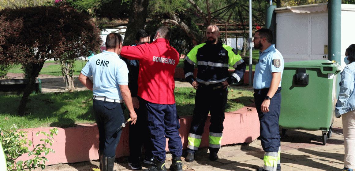 Um ferido e um detido em briga entre irmãos em Almeirim