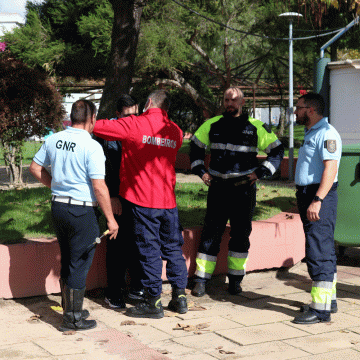 Um ferido e um detido em briga entre irmãos em Almeirim