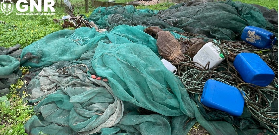 GNR apreende de redes de captura ilegal do meixão no rio Tejo