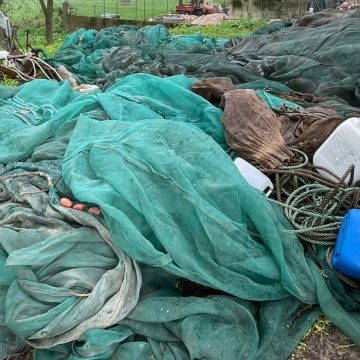GNR apreende de redes de captura ilegal do meixão no rio Tejo