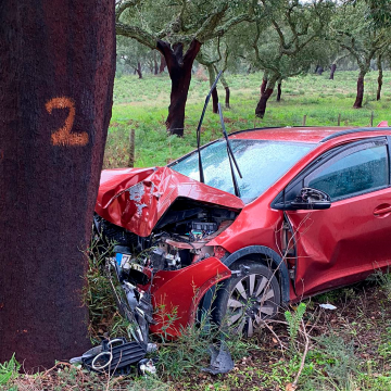 Colisão contra árvore provoca um ferido grave em Paço dos Negros