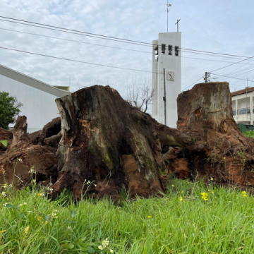 Fogueira de Natal regressa a Fazendas de Almeirim