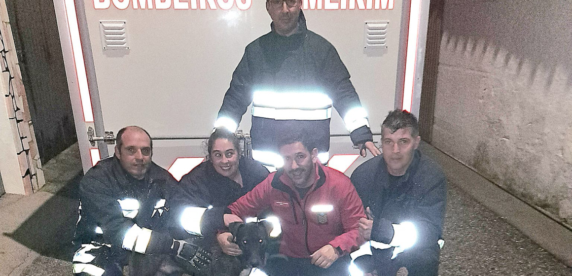 Bombeiros de Almeirim salvam cão que caiu a um poço