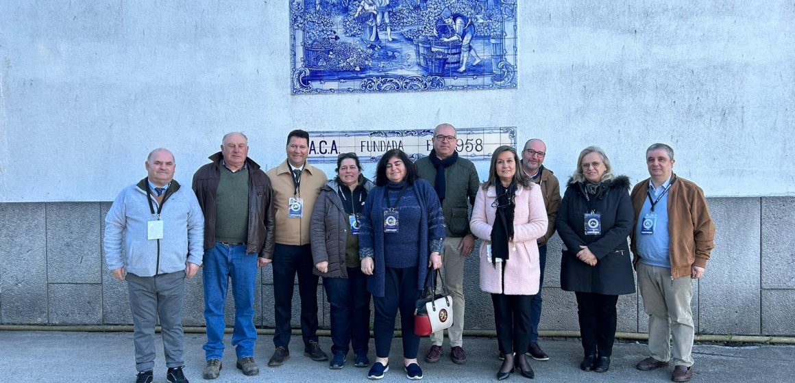 PSD visita concelho e aponta dedo