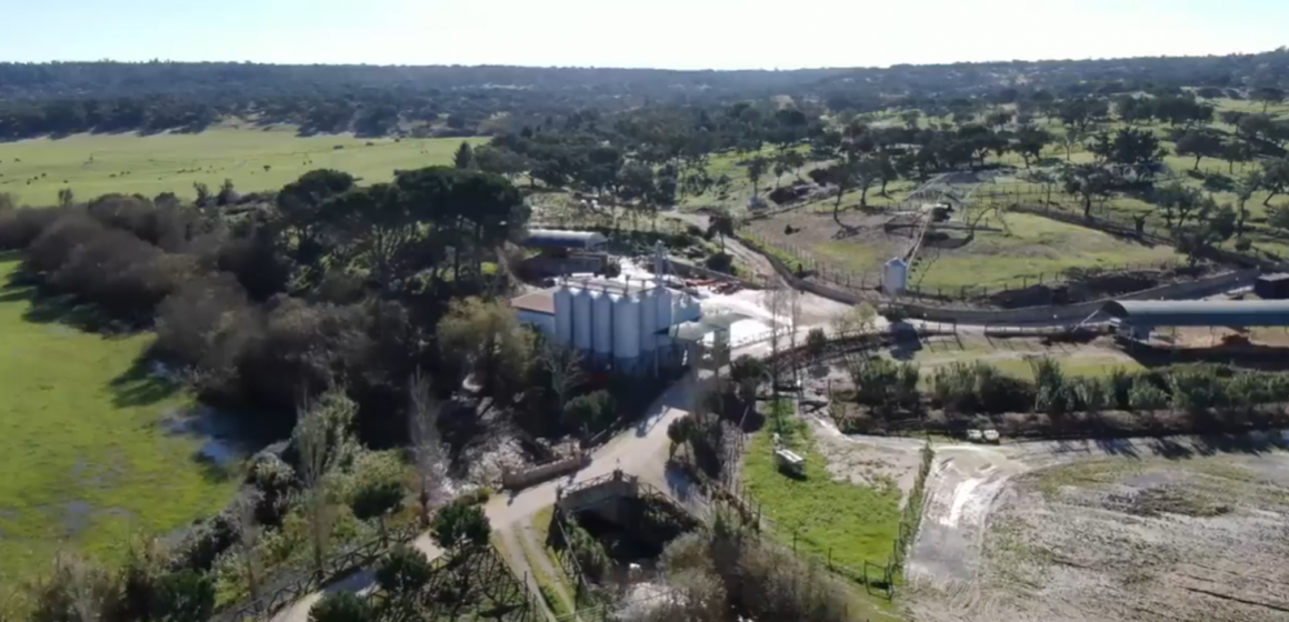 GNR realiza grande operação para acabar com descargas poluentes no Monte da Vinha